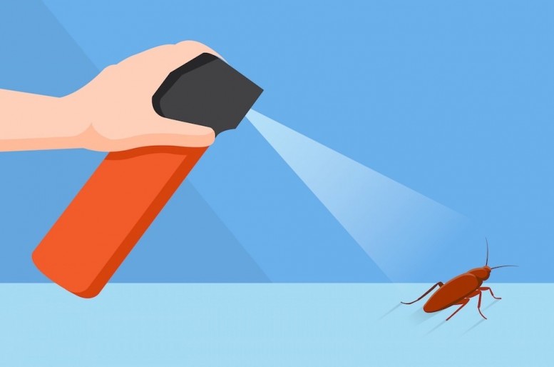 5-ways-to-get-rid-of-cockroaches-from-your-houses