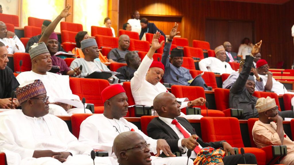 Senate Authorizes Not Too Young To Run Bill - www.connectnigeria.com