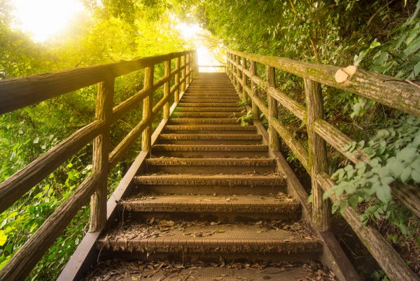 Much Ado about Purpose - www.connectnigeria.com