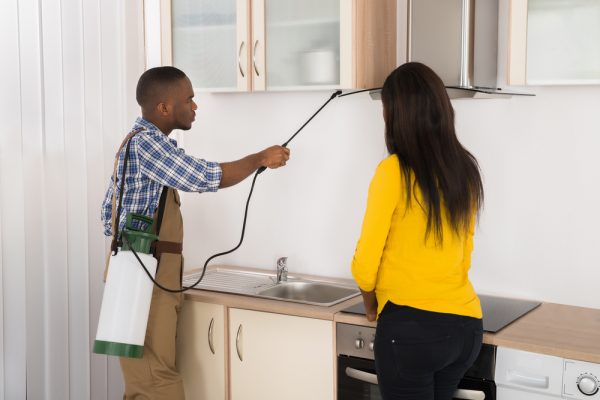 How to Expel Cockroaches From Your Home - www.connectnigeria.com