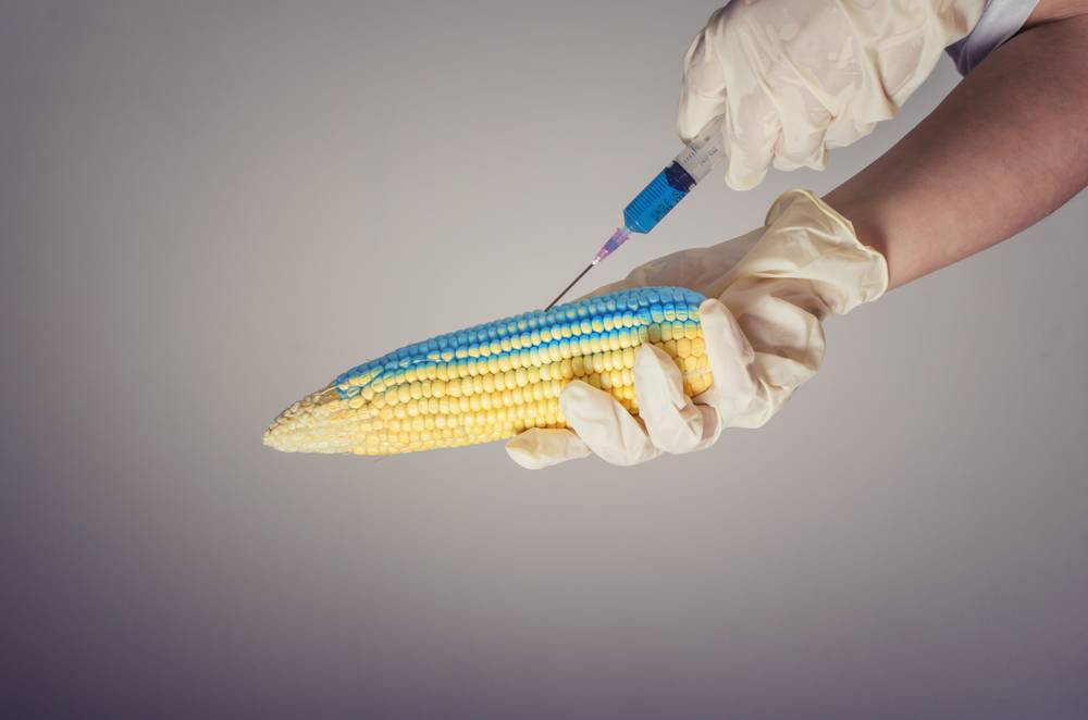 What Nigerians Should Know About Genetically Modified Foods - www.connectnigeria.com