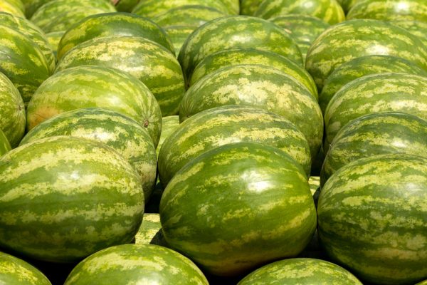 Nigeria moves to Increase Exportation of Fruits to Europe- www.connectnigeria.com