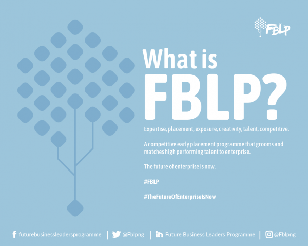 Future Business Leaders Programme