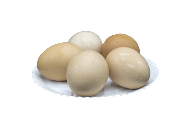 How To Hard-boil Eggs Perfectly