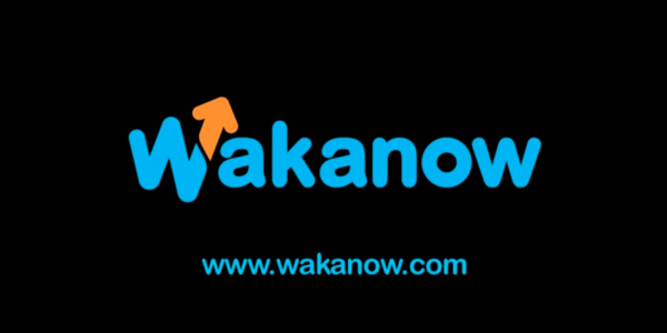 Wakanow.com