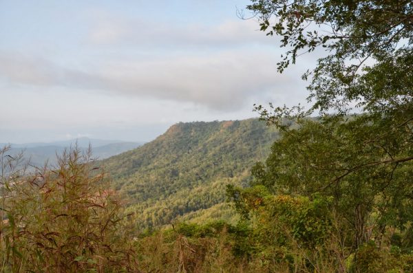 mount patti hotels.ng