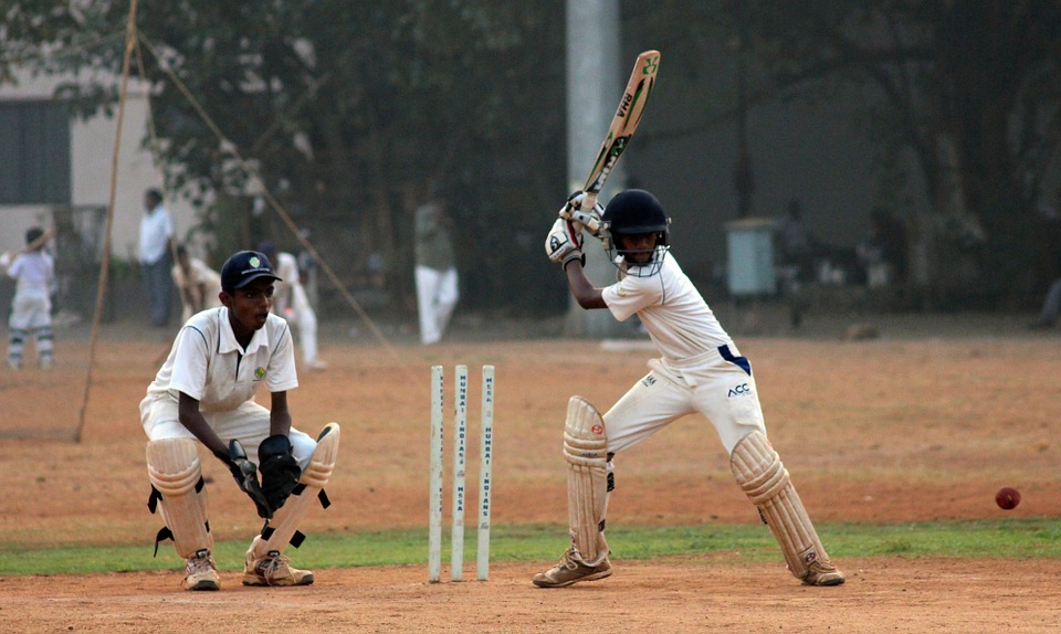 cricket sport 2