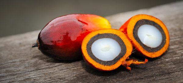 palm oil