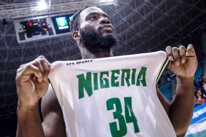 Ikechukwu Nwamu D'Tigers