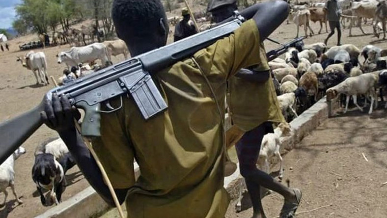 Fulani Herdsmen