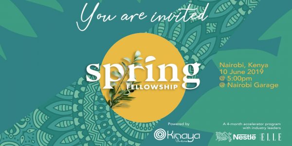 Spring Fellowship 2019