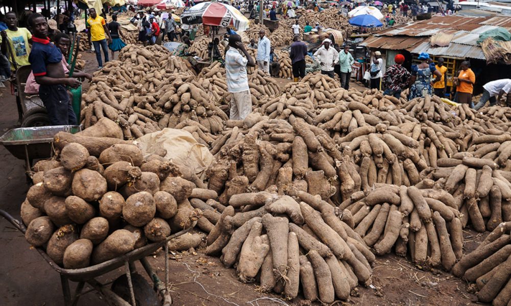 nigeria-is-the-world-s-biggest-producer-of-yams