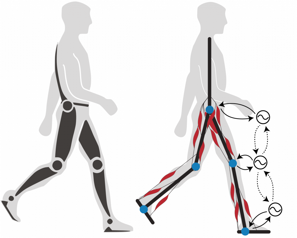 Rehabilitation Technologies