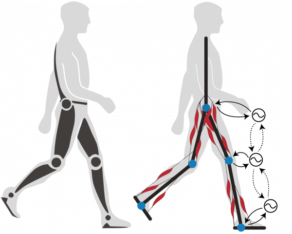 Rehabilitation Technologies