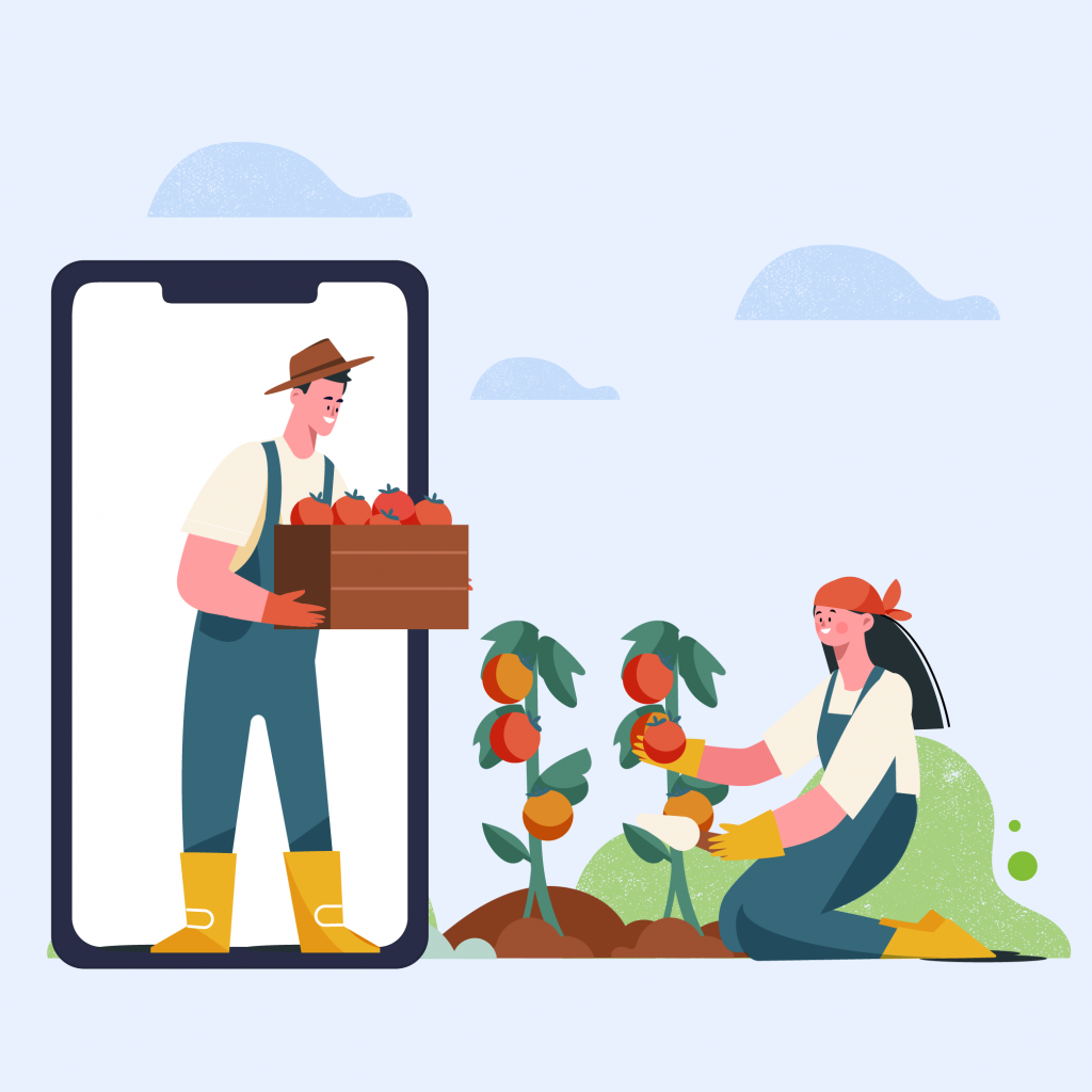 E-commerce Platforms