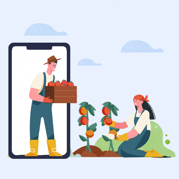 E-commerce Platforms