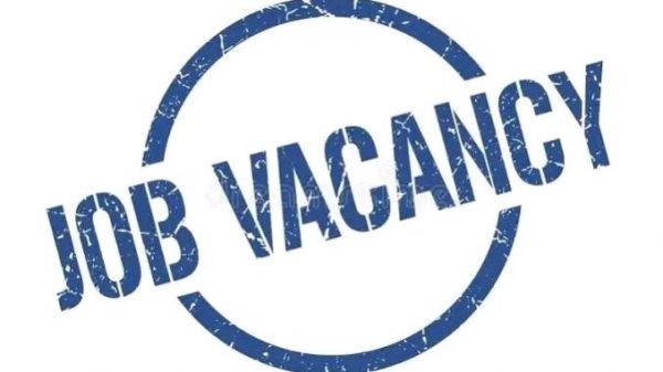Job Vacancies