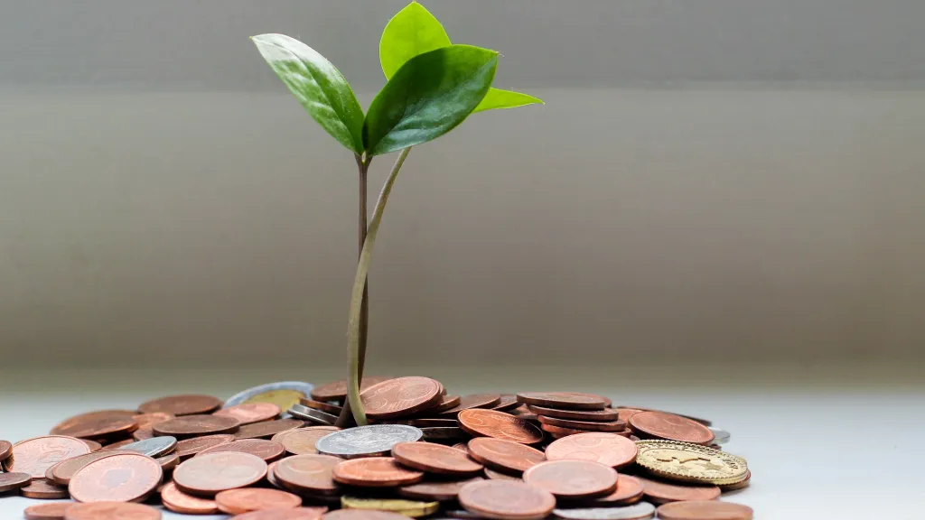 Increase Your Income