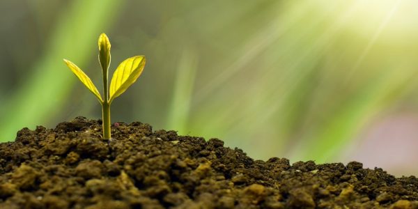 Scaling without Sacrificing Quality