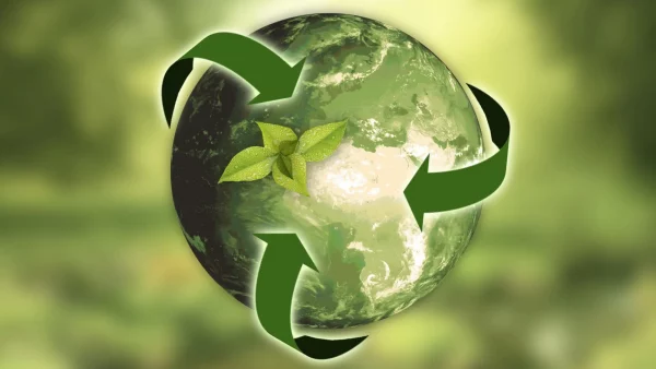 Circular Economy Strategies