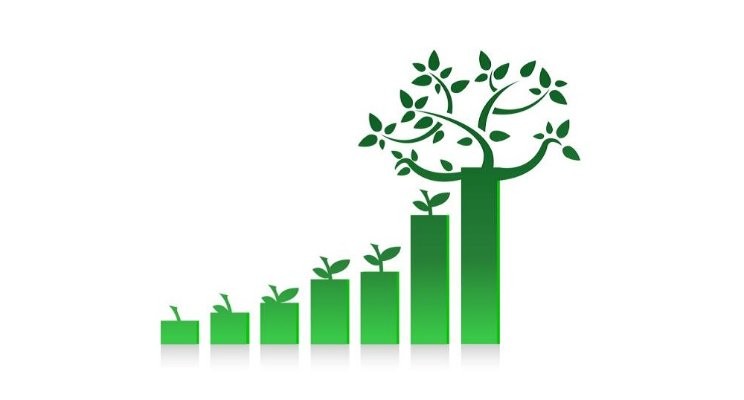 sustainable business growth