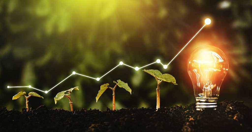 Achieving Sustainable Growth