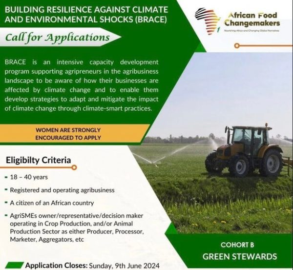 African Food Changemakers