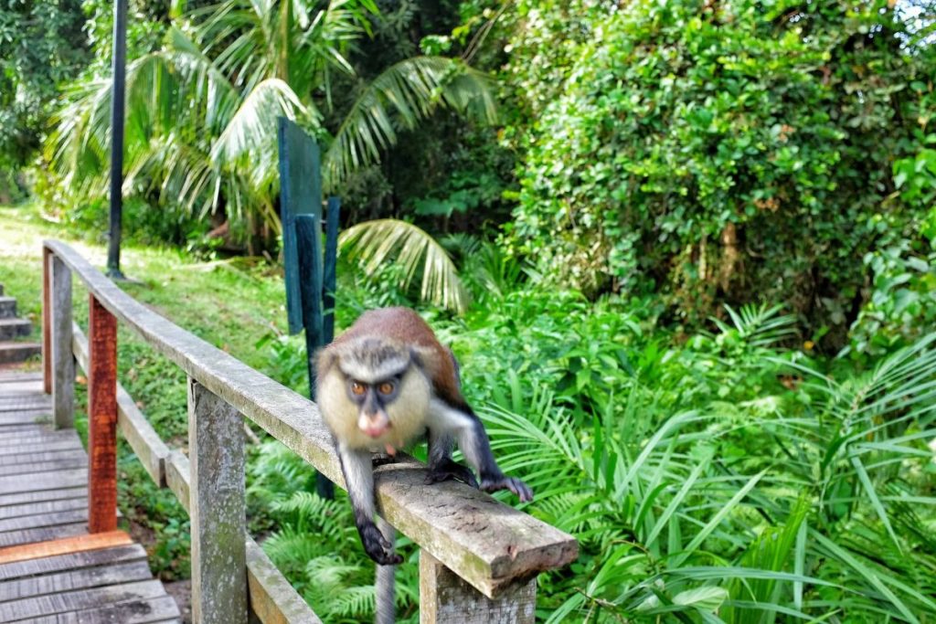 National Parks in Nigeria