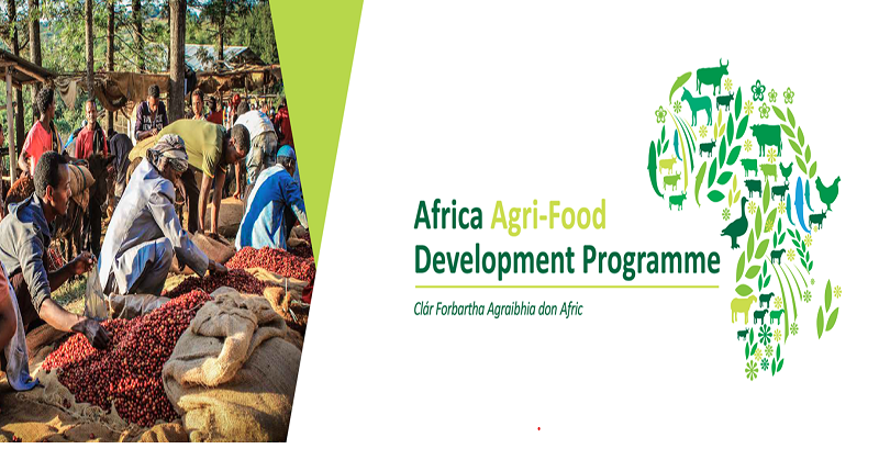 Apply For the Africa Agri-Food Development Programme (AADP)