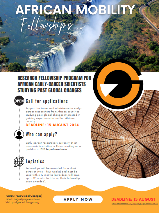 African Mobility Fellowship