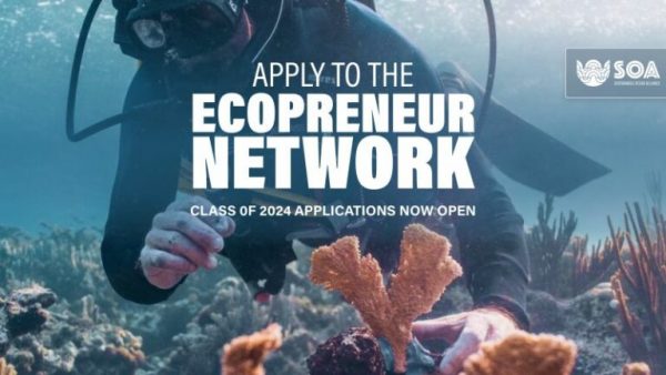 Sustainable Ocean Alliance