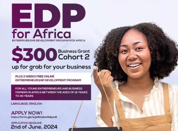 Africa Business Grant