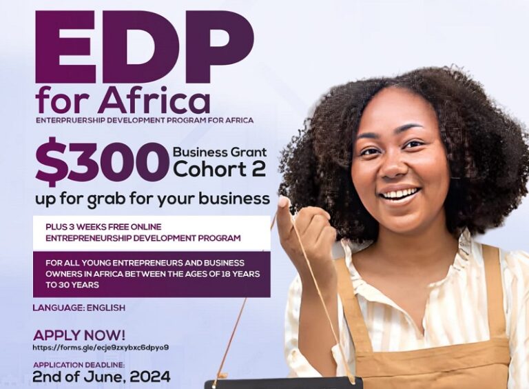 Africa Business Grant