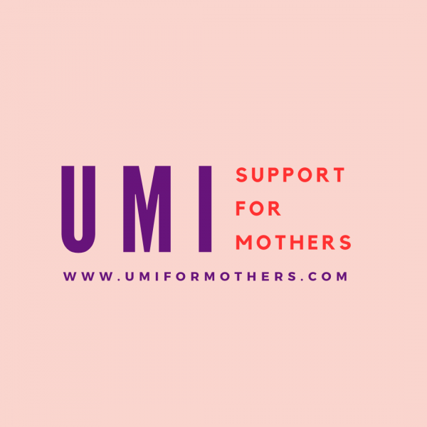 Umi Mentorship Program