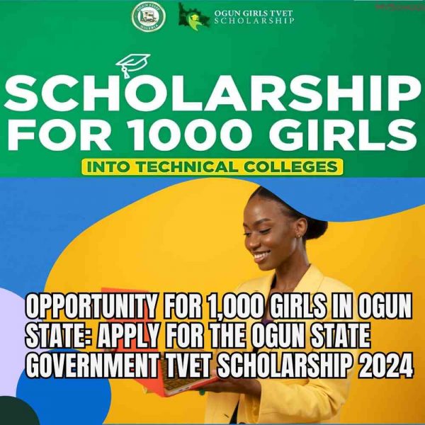 Ogun State TVET Scholarship