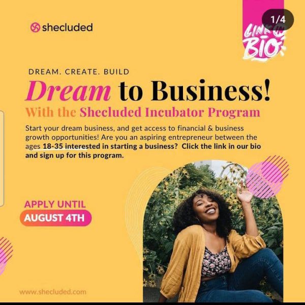 Dream to Business Incubator