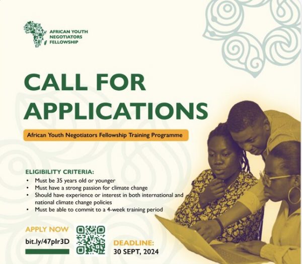African Youth Negotiators Fellowship