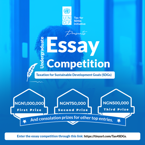 UNDP Undergraduate Essay