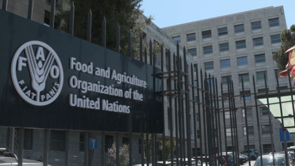 the FAO Regional Office for Africa 2025 Internship Program
