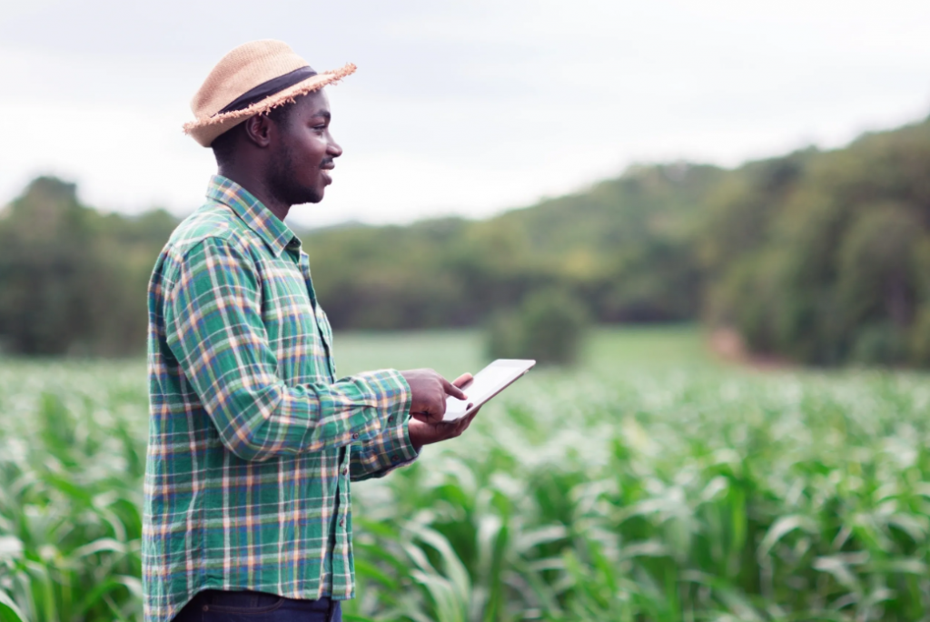 AgriTech Startup Ideas for Nigerians