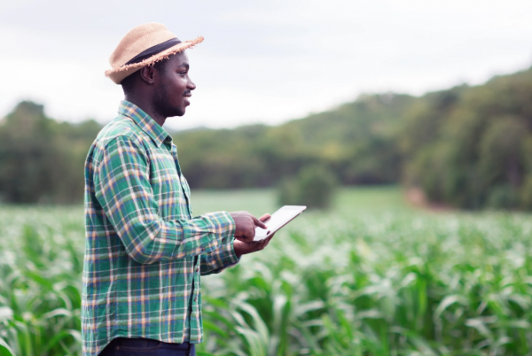 AgriTech Startup Ideas for Nigerians
