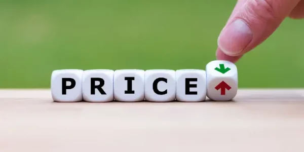 Pricing Strategies