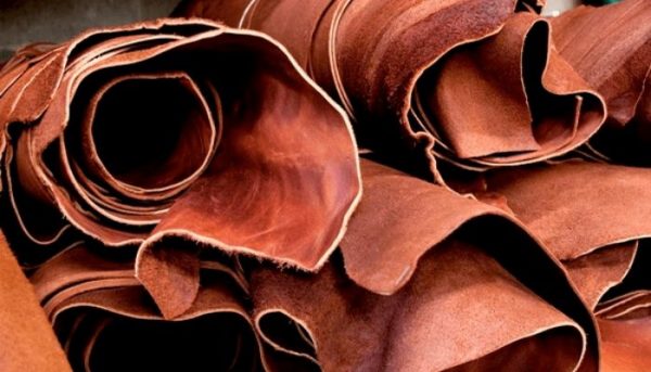 The Nigerian Leather Industry