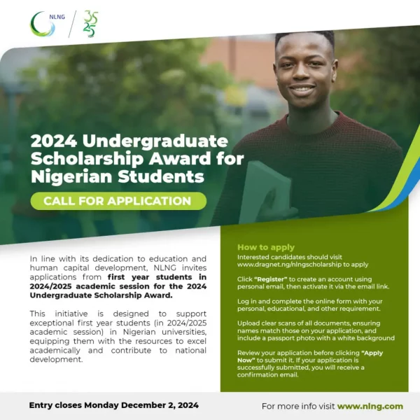 NLNG Undergraduate Scholarship