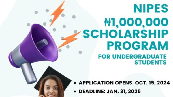 NIPES Scholarship 2025