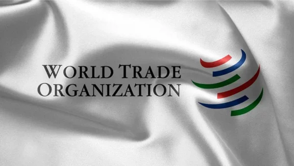 WTO Internship Program