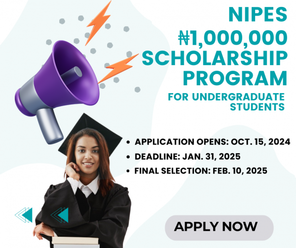 NIPES Engineering and Science Scholarship