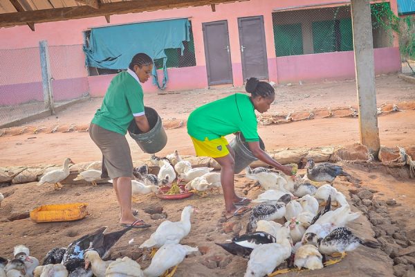 Songhai/MasterCard Integrated Agriculture Bootcamp