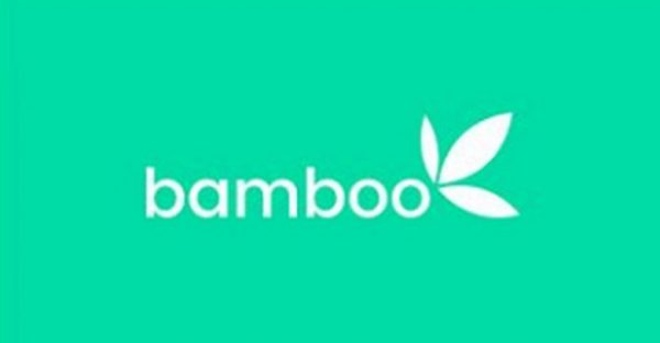 Bamboo