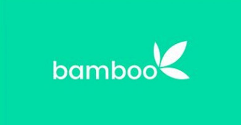Bamboo